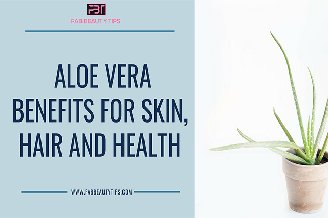 Aloe vera benefits; Aloe vera benefits for hair; Aloe vera benefits for skin; health benefits of aloe vera