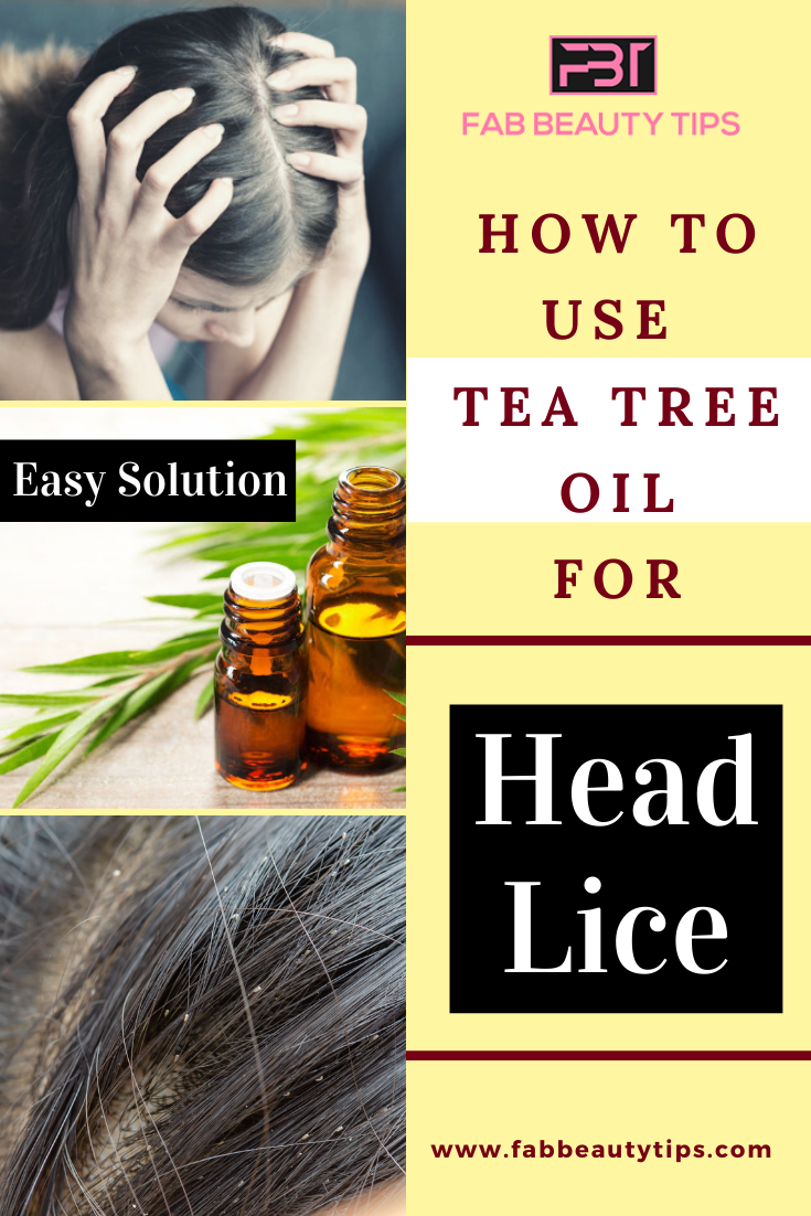 How to use tea tree oil for head lice, tea tree oil for head lice, remove head lice with tea tree oil, get rid of head lice with tree tea oil