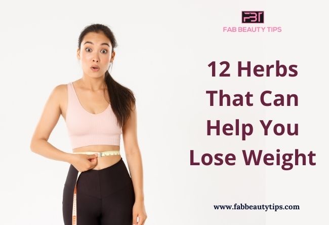 best herb to lose weight, herbal shake for weight loss, herbal weight loss drink